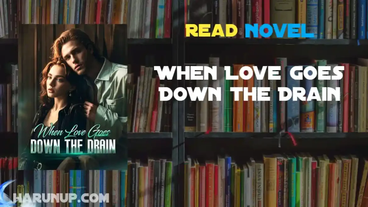 When Love Goes Down the Drain Novel