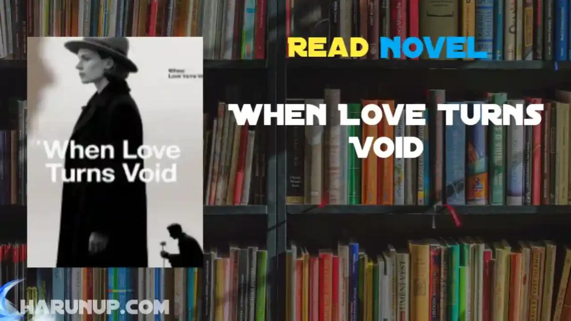 When Love Turns Void Novel