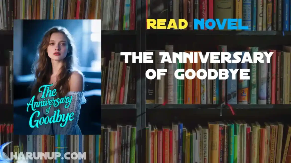 The Anniversary of Goodbye Novel