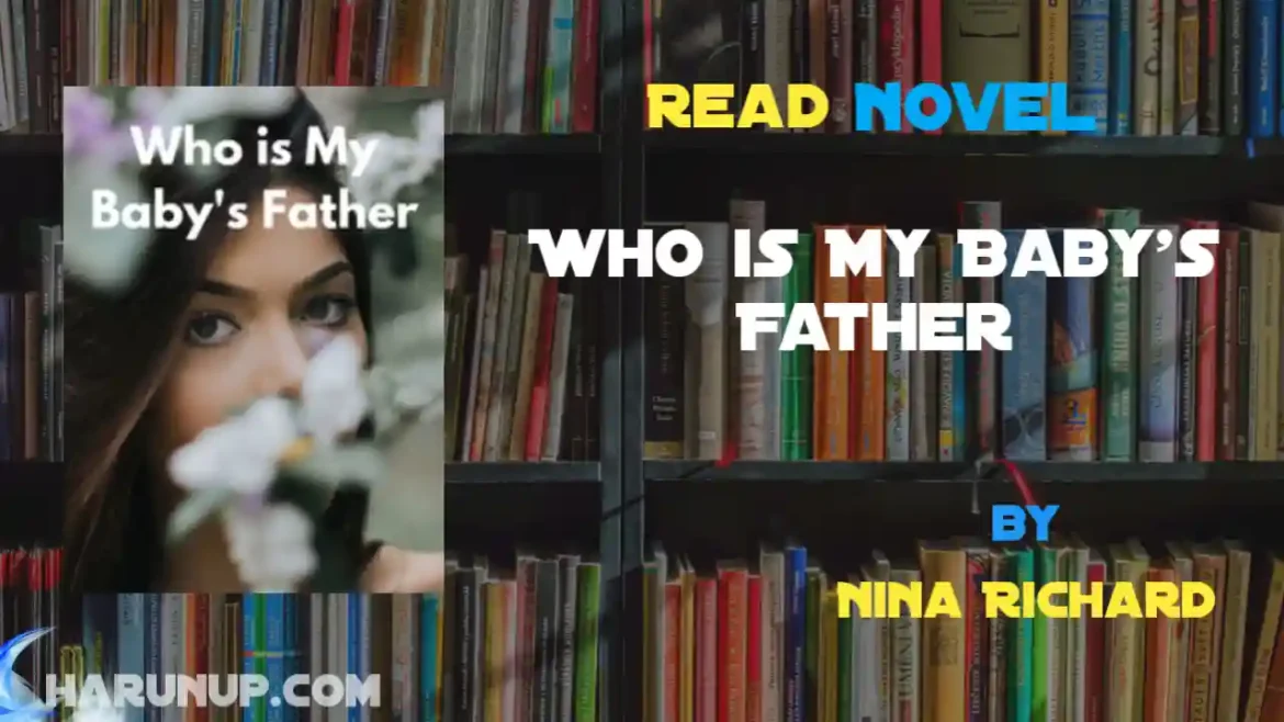 Who is My Baby's Father Novel