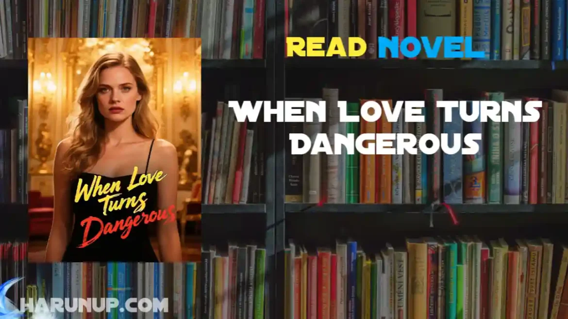 When Love Turns Dangerous Novel