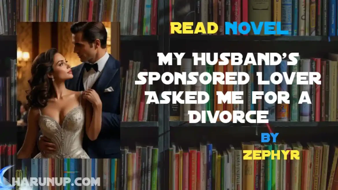 My Husband's Sponsored Lover Asked Me for a Divorce Novel