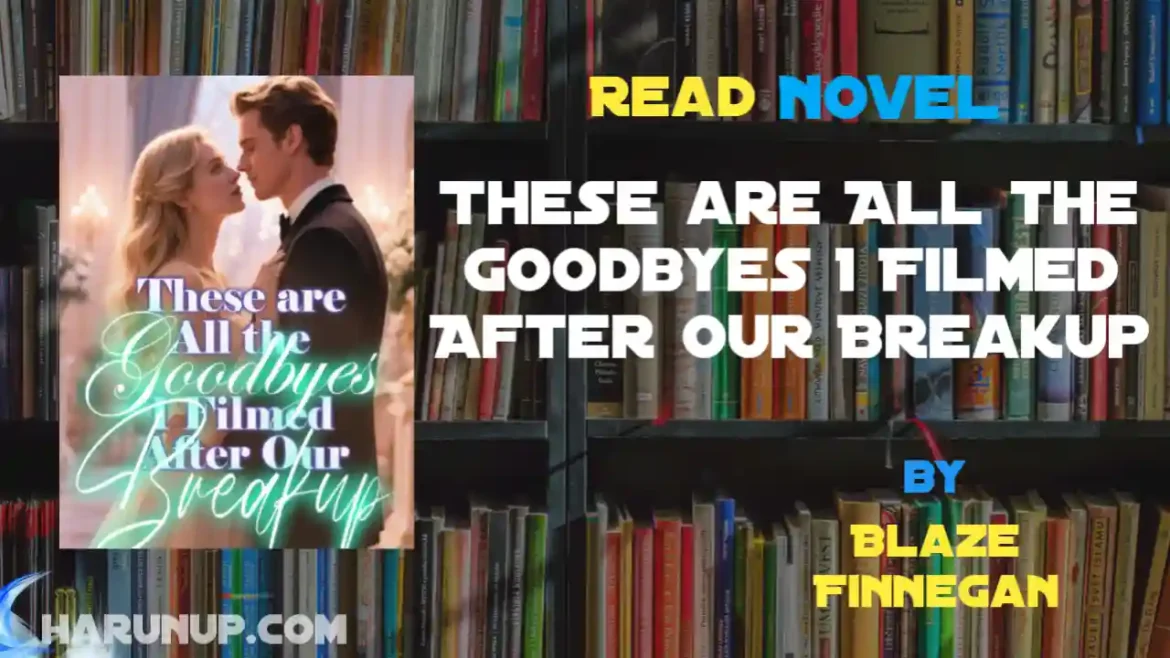 These are All the Goodbyes I Filmed After Our Breakup Novel