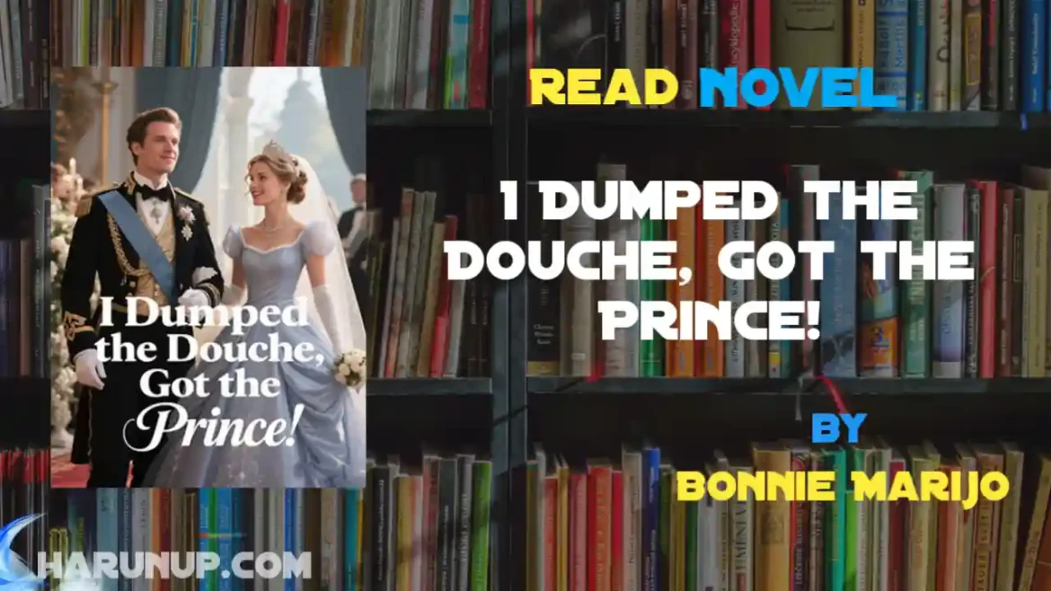 I Dumped the Douche, Got the Prince! Novel