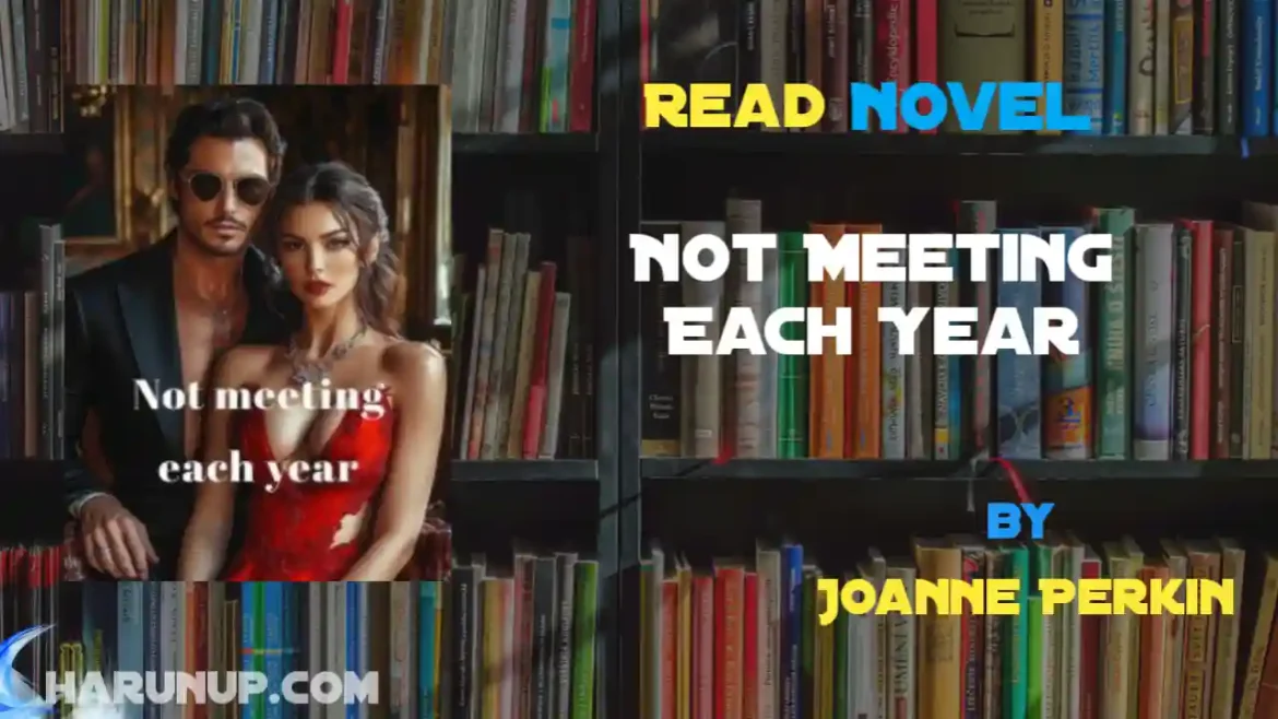 Not Meeting Each Year Novel