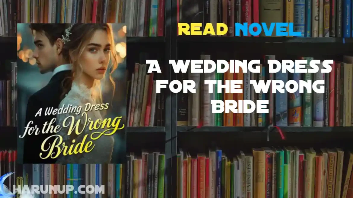 A Wedding Dress for the Wrong Bride Novel