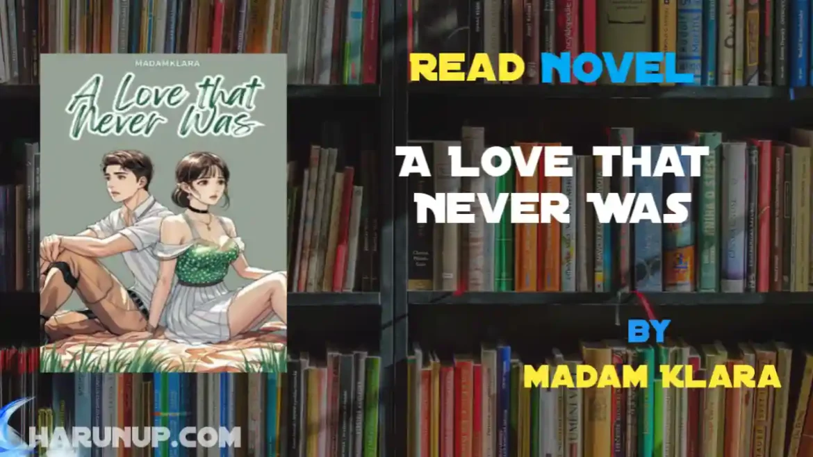 A Love that Never Was Novel
