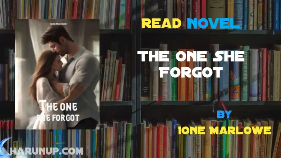 The One She Forgot Novel