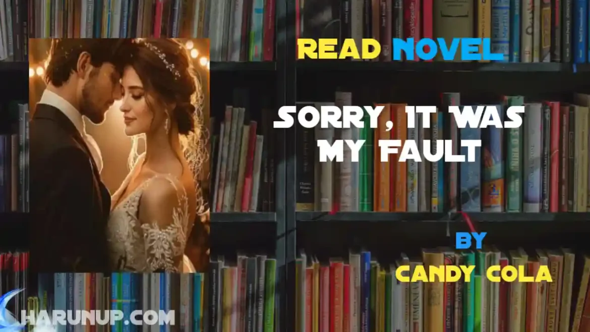 Sorry, It Was My Fault Novel