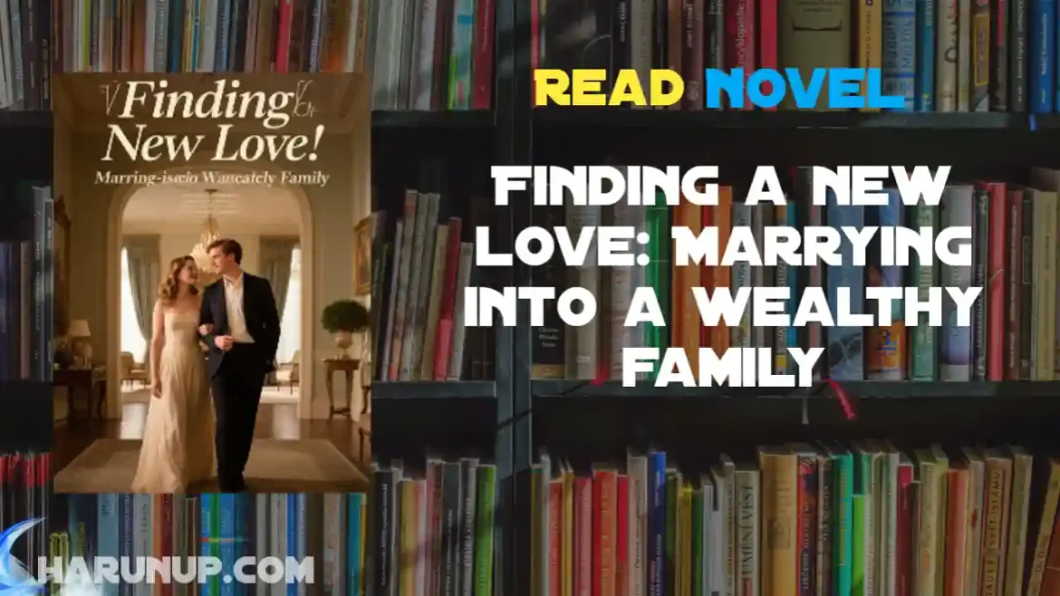 Finding a new love: Marrying into a wealthy family Novel