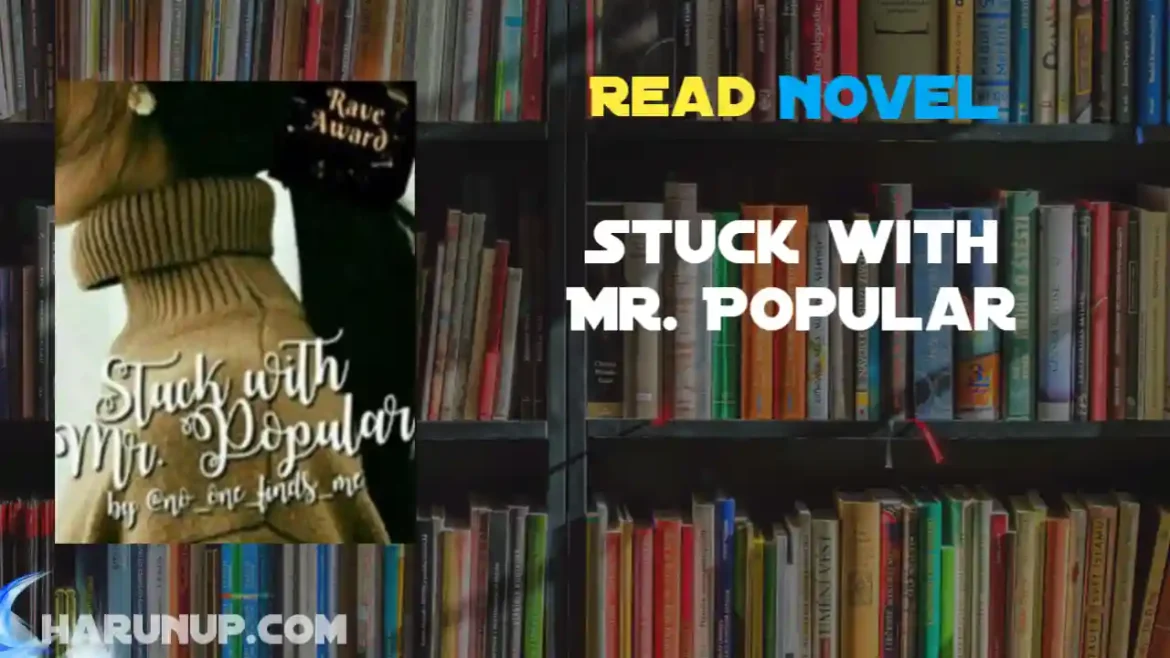 Stuck with Mr. Popular Novel