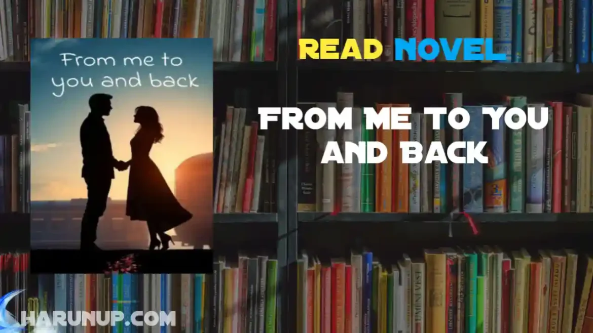 From Me To You and Back Novel