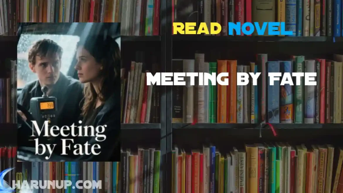 Meeting by Fate Novel