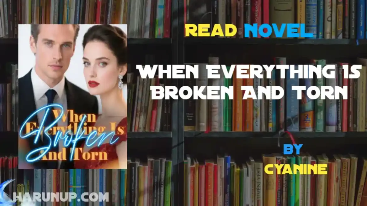 When Everything Is Broken And Torn Novel