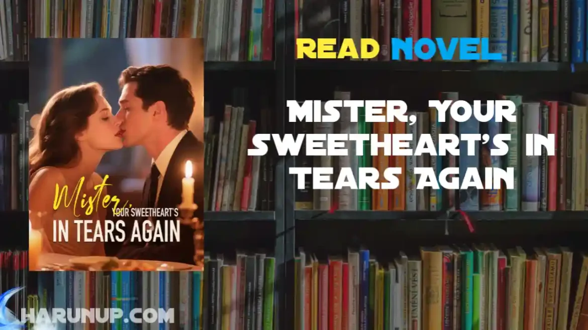 Mister, Your Sweetheart's in Tears Again Novel