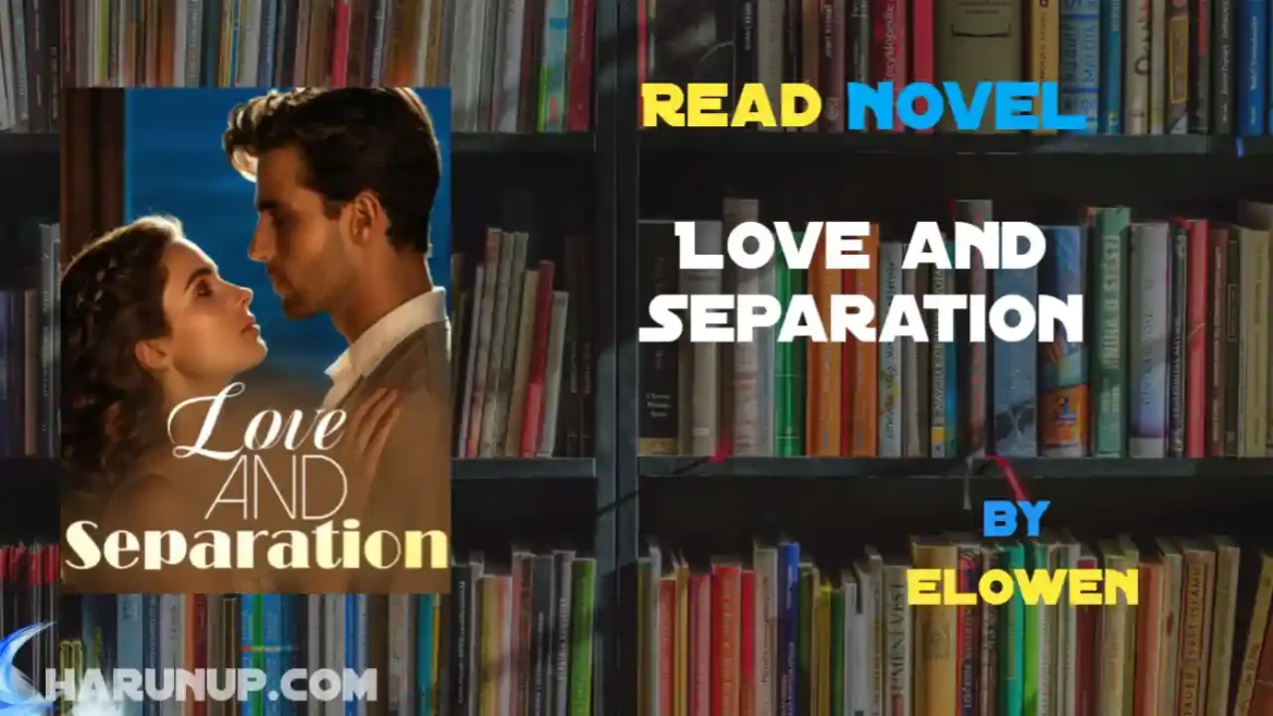 Love and Separation Novel