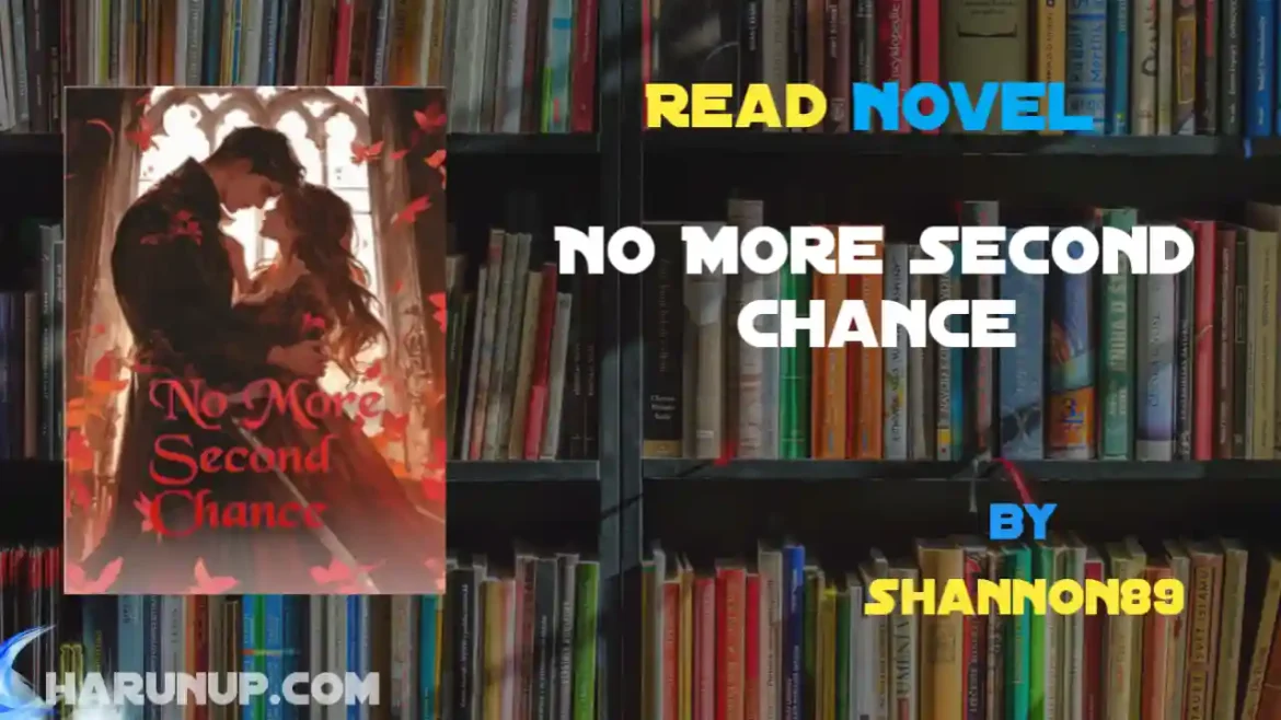 No More Second Chance Novel