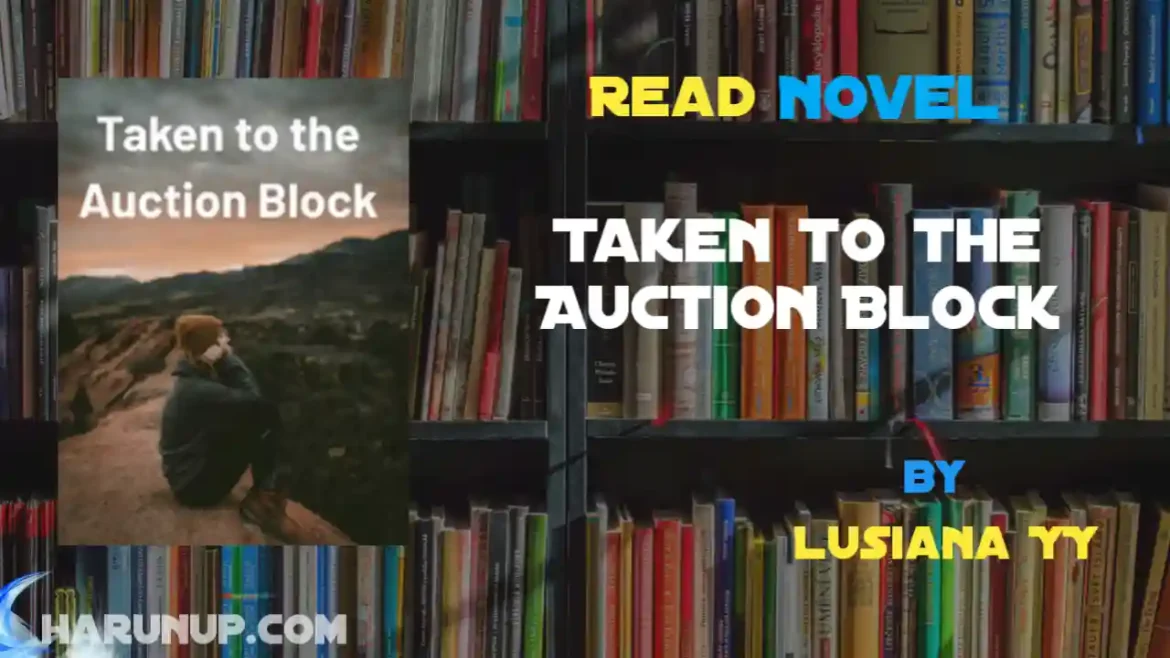 Taken to the Auction Block Novel