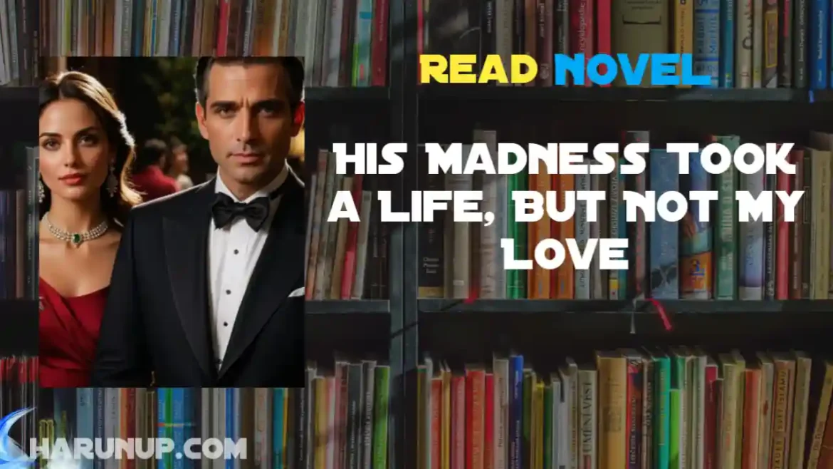 His Madness Took a Life, But Not My Love Novel