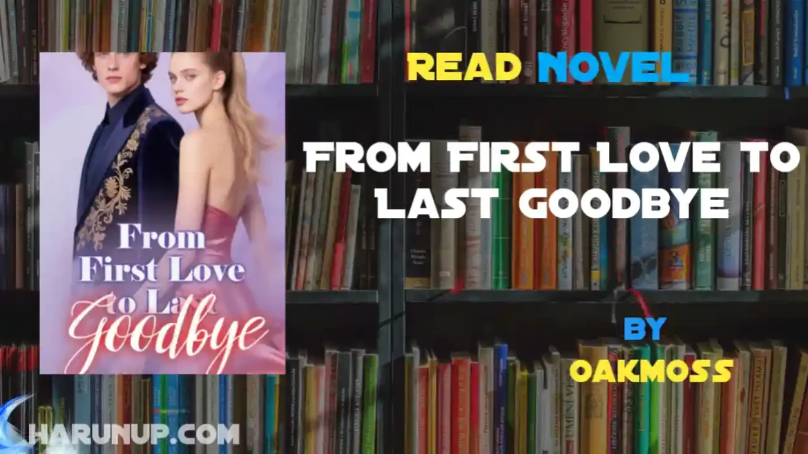 From First Love to Last Goodbye Novel