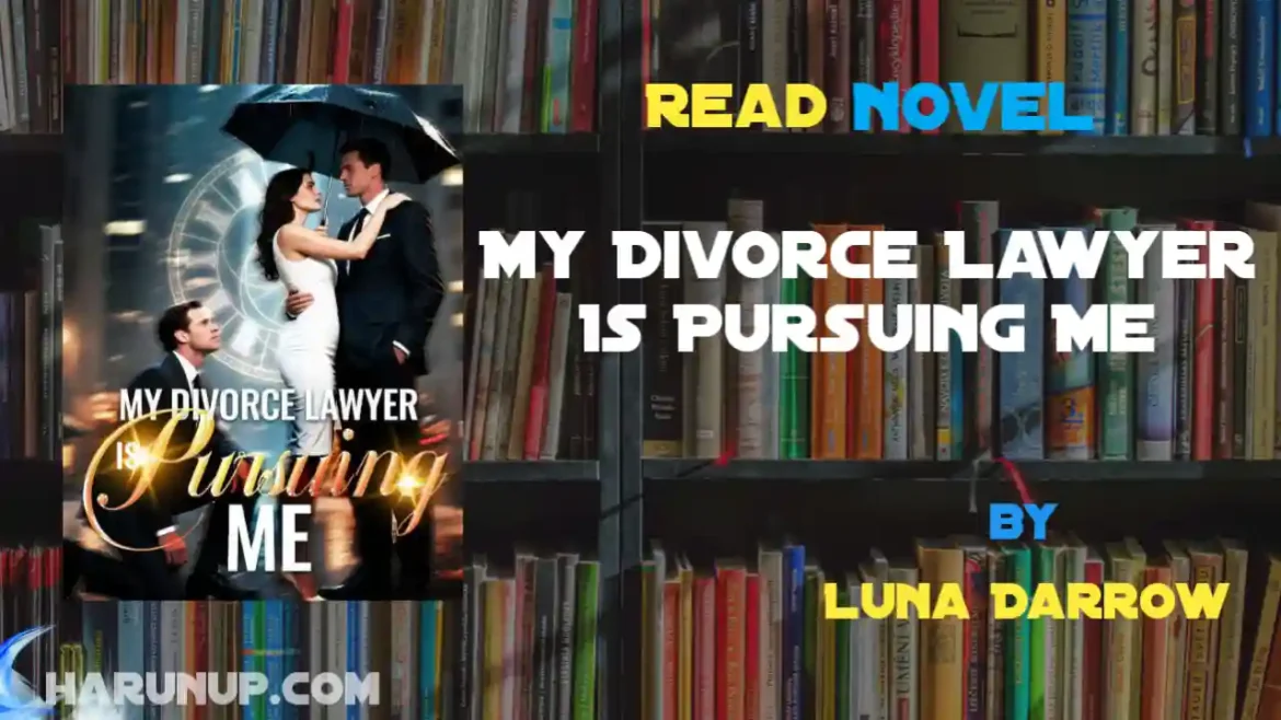 My Divorce Lawyer Is Pursuing Me Novel
