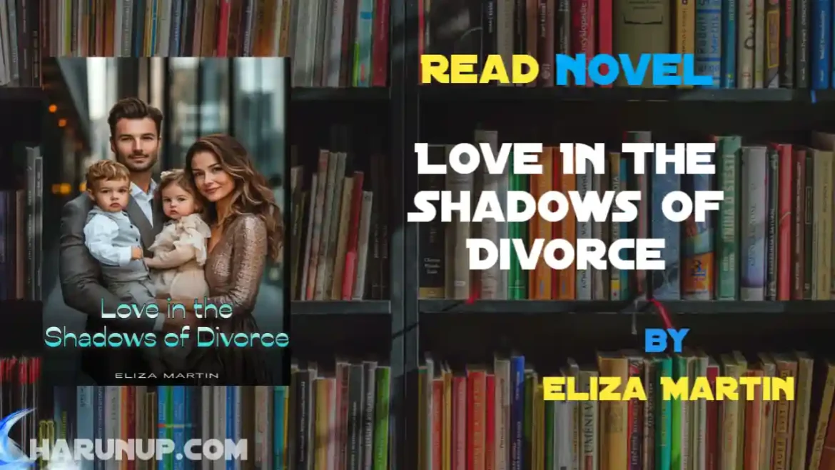 Love In The Shadows Of Divorce Novel