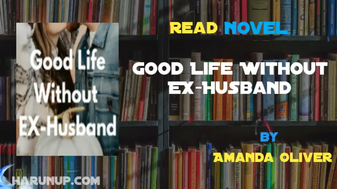 Good Life Without EX-Husband Novel