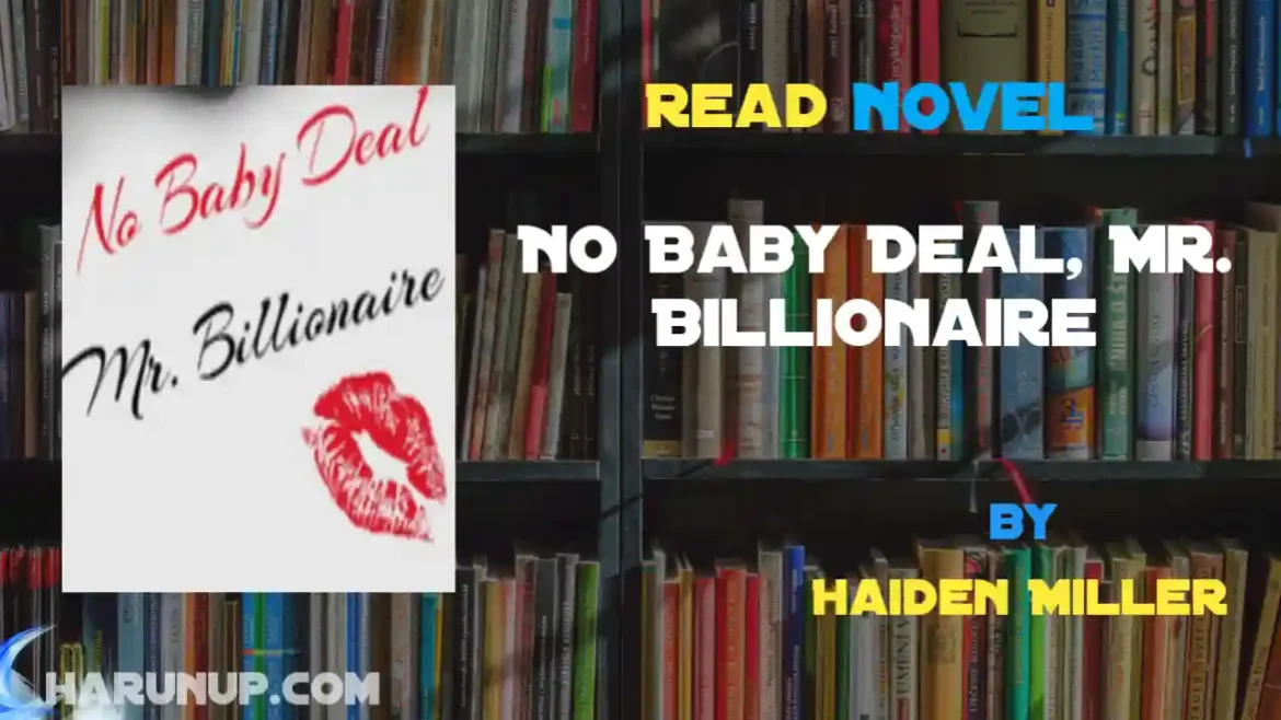 No Baby Deal, Mr. Billionaire Novel
