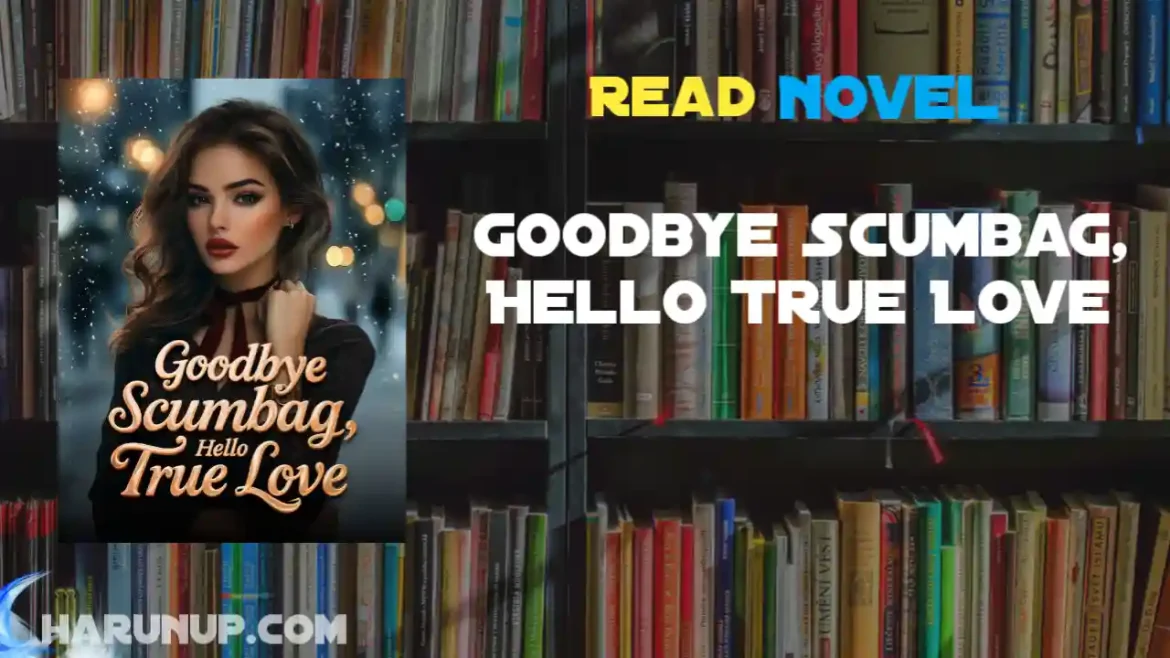 Goodbye Scumbag, Hello True Love Novel