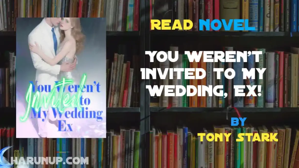 You Weren't Invited to My Wedding, Ex! Novel
