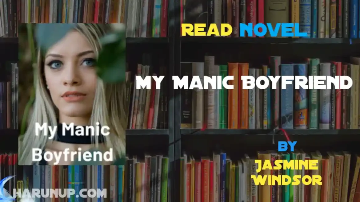 My Manic Boyfriend Novel