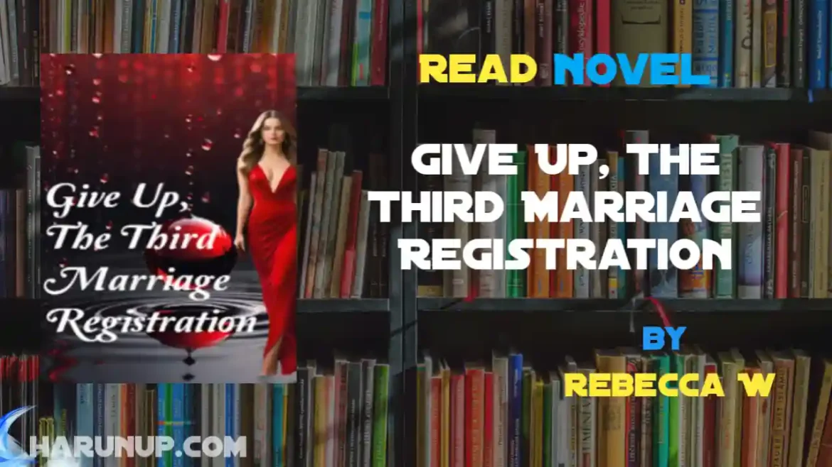 Give Up, The Third Marriage Registration Novel