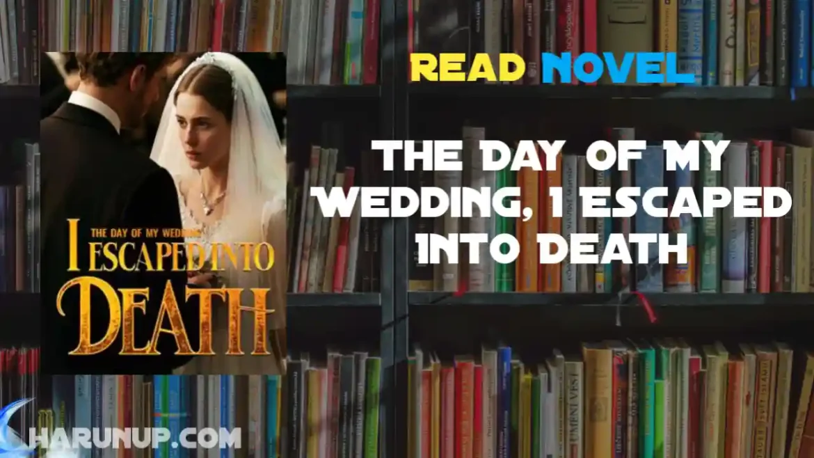 The Day of My Wedding, I Escaped Into Death Novel