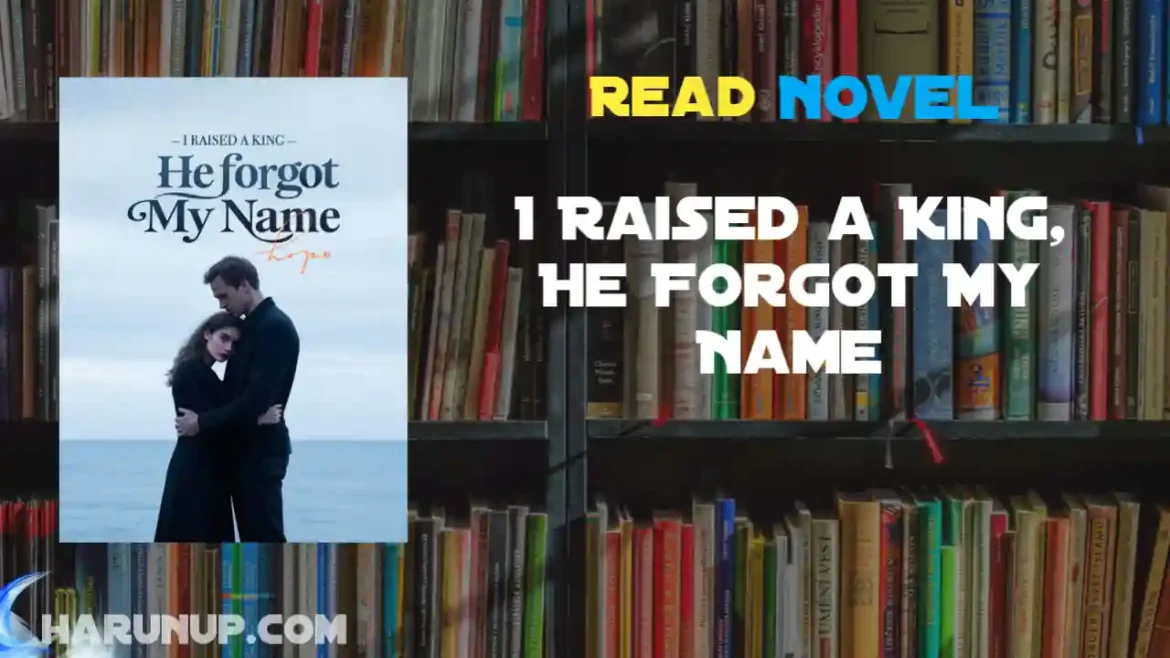 I Raised a King, He Forgot My Name Novel