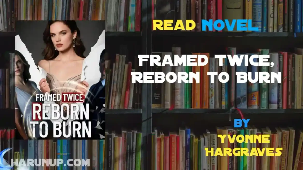 Framed Twice, Reborn to Burn Novel