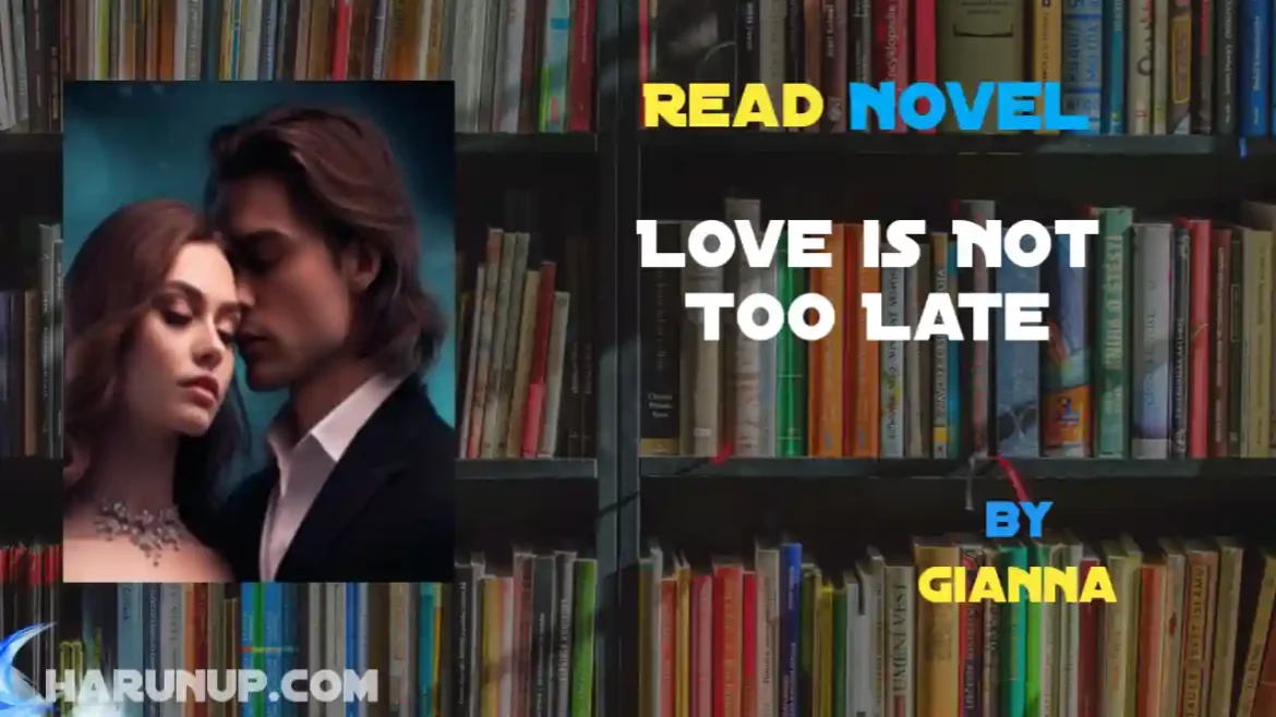 Love is Not Too Late Novel