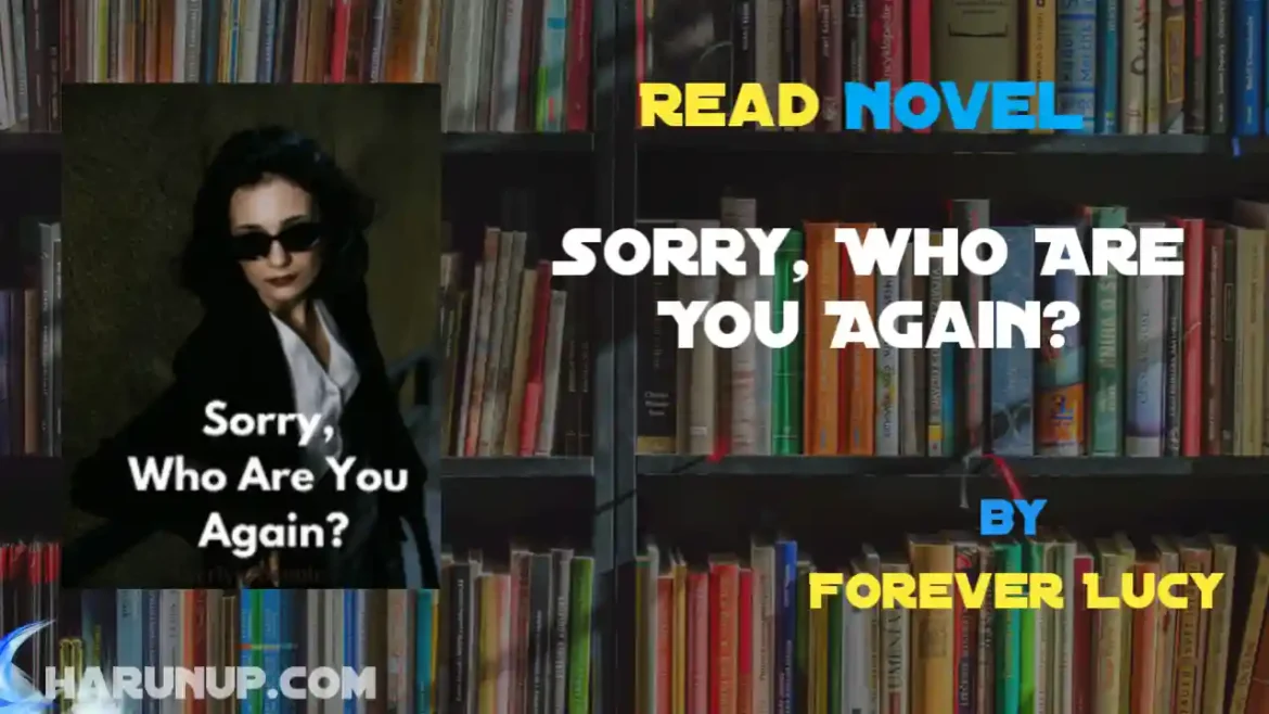 Sorry, Who Are You Again? Novel