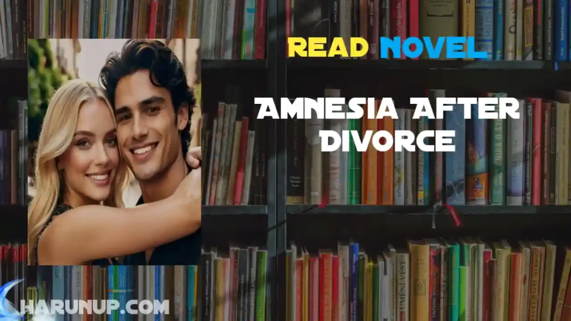 Amnesia After Divorce Novel