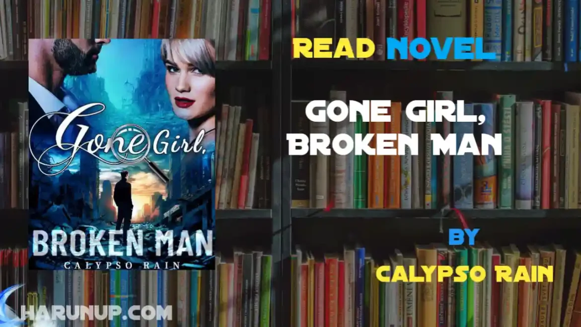 Gone Girl, Broken Man Novel