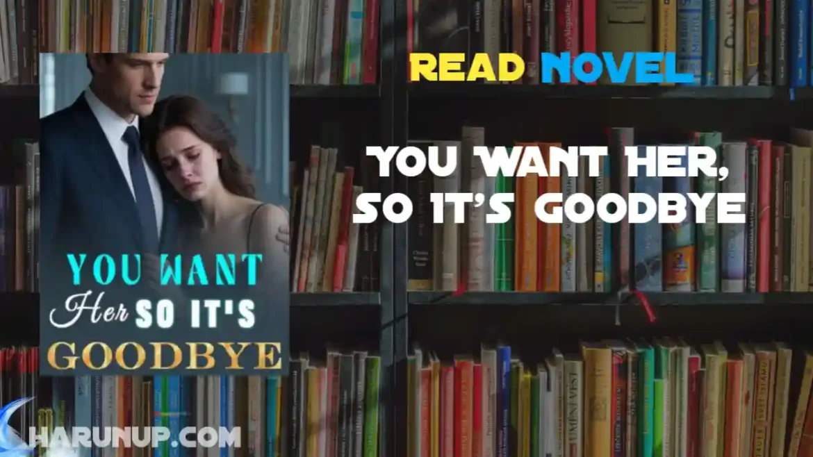 You Want Her, so It's Goodbye Novel