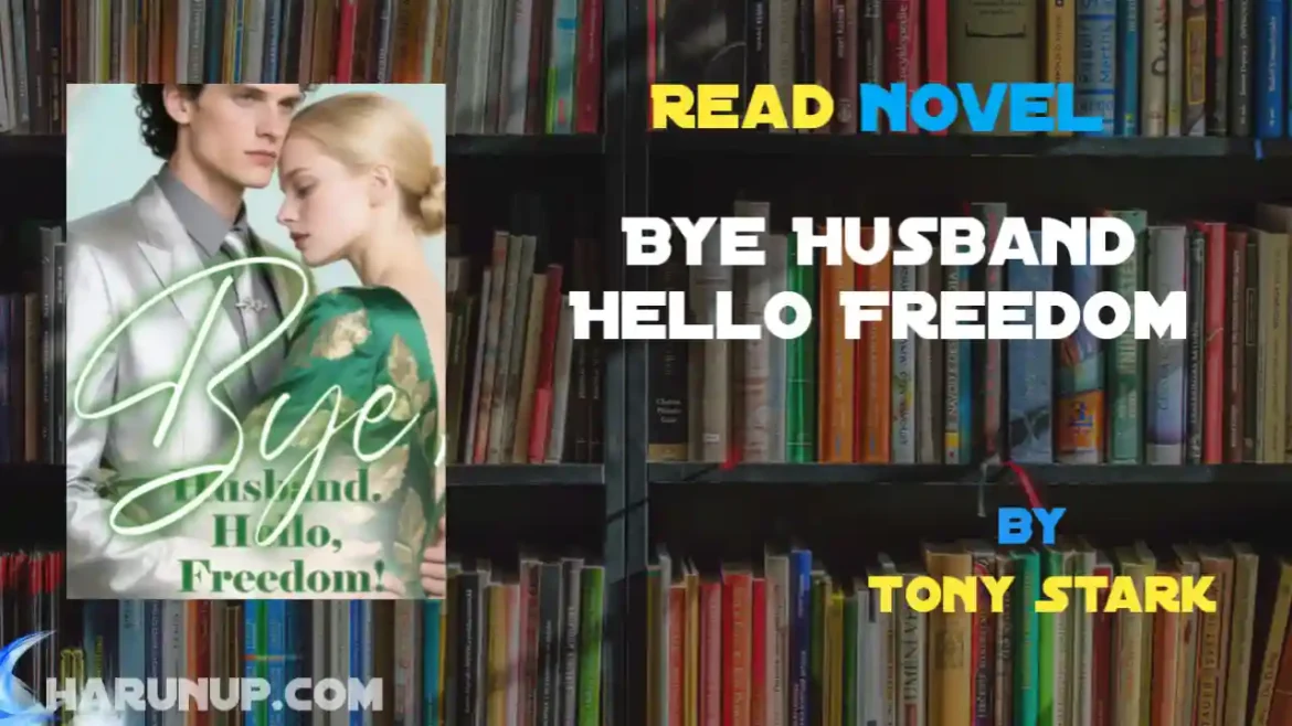 Bye Husband Hello Freedom Novel