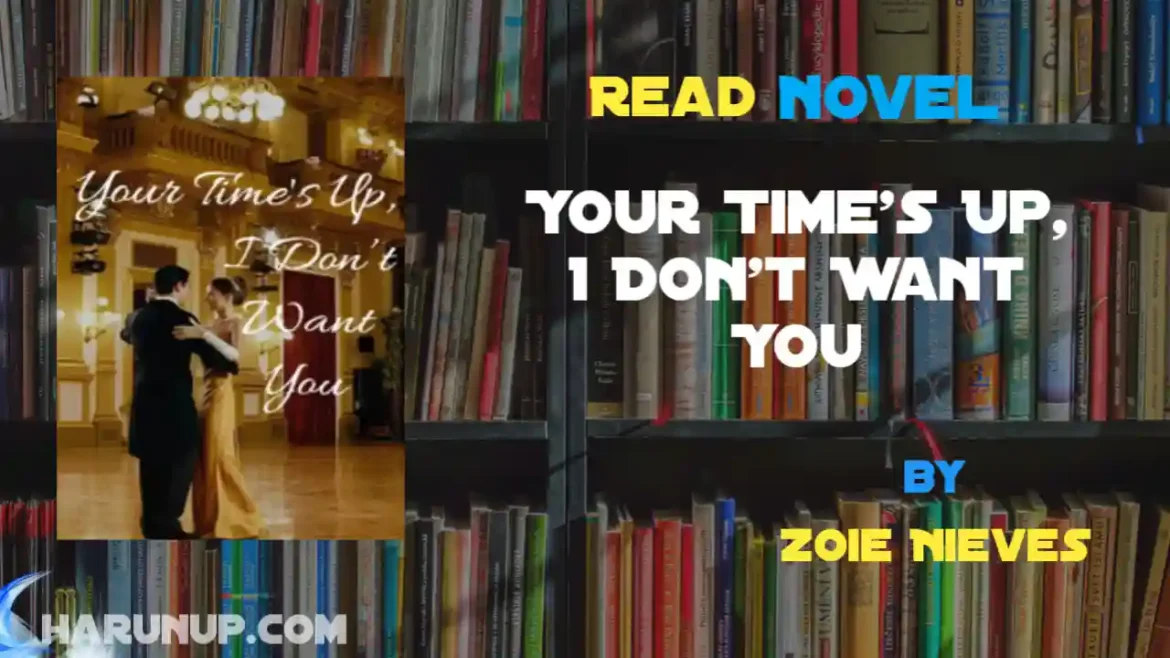 Your Time's Up, I Don't Want You Novel