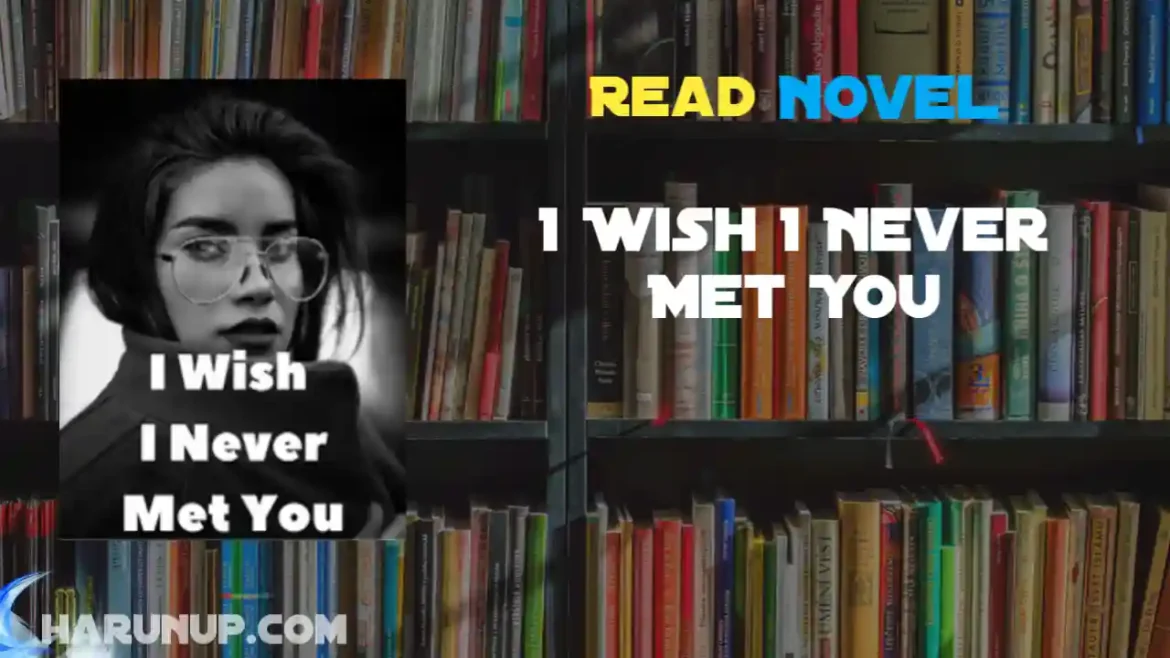 I Wish I Never Met You Novel