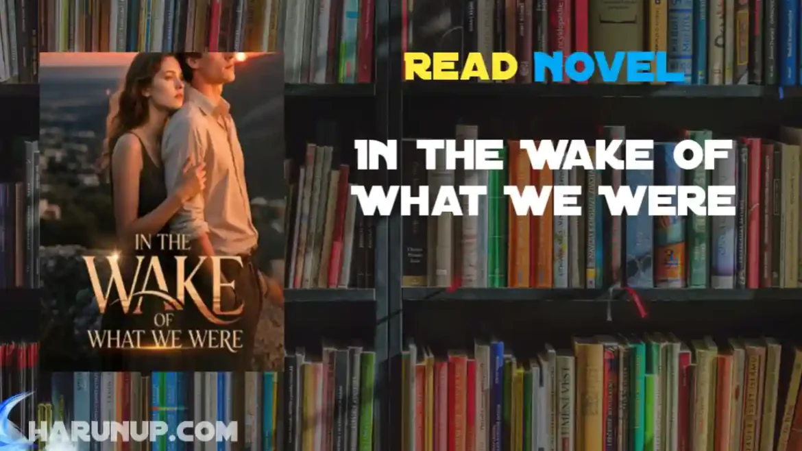 In the Wake of What We Were Novel