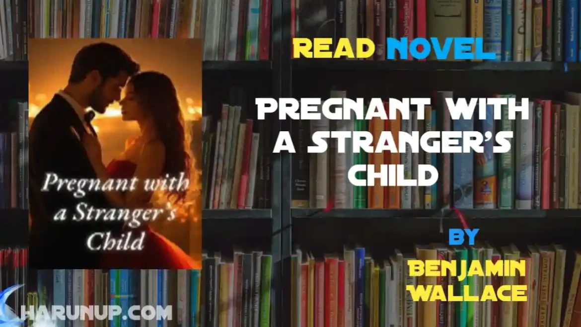 Pregnant with a Stranger's Child Novel