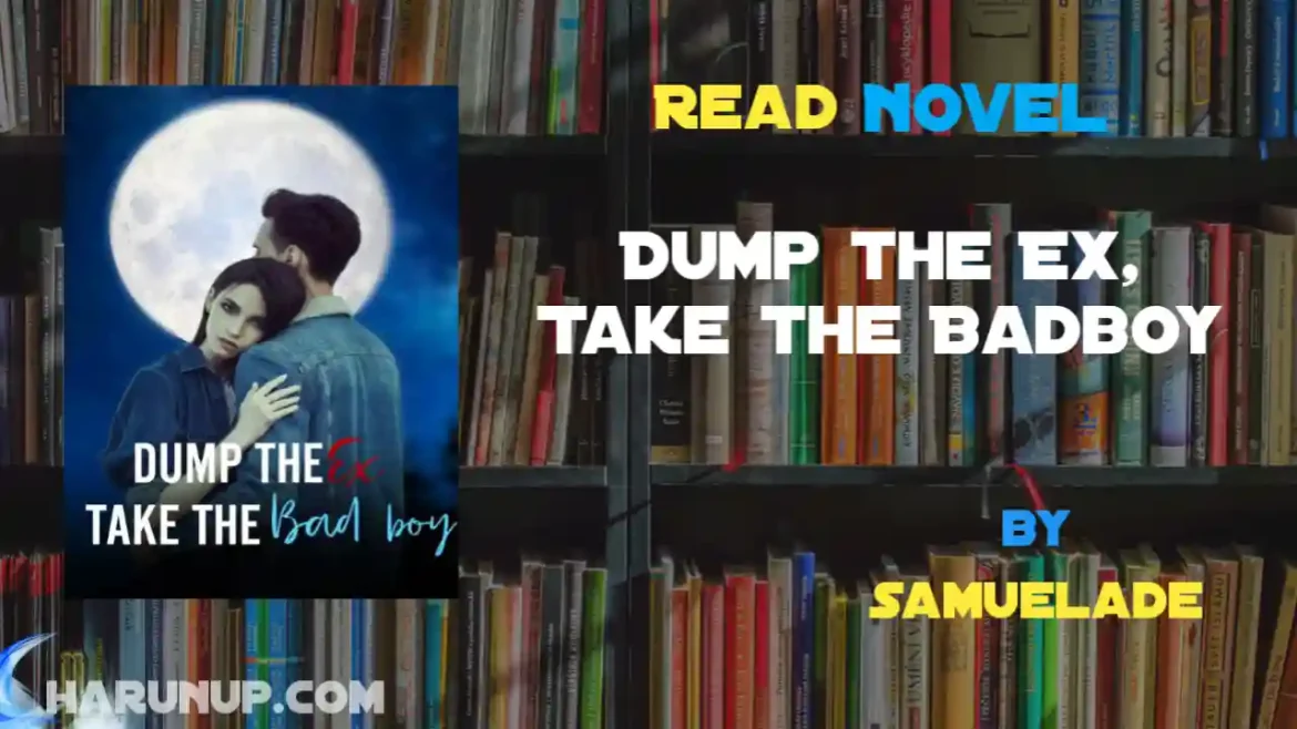 Dump the Ex, Take the Badboy Novel