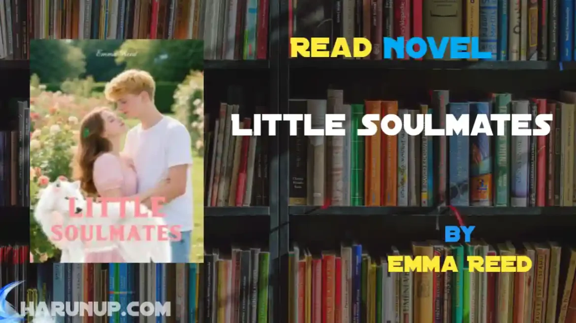 Little Soulmates Novel