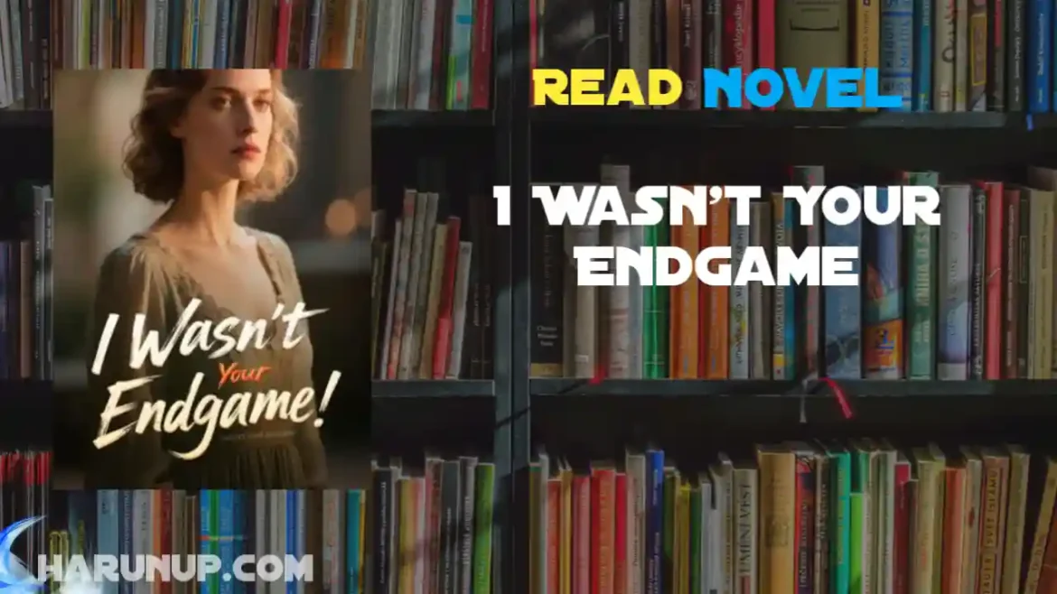 I Wasn't Your Endgame Novel