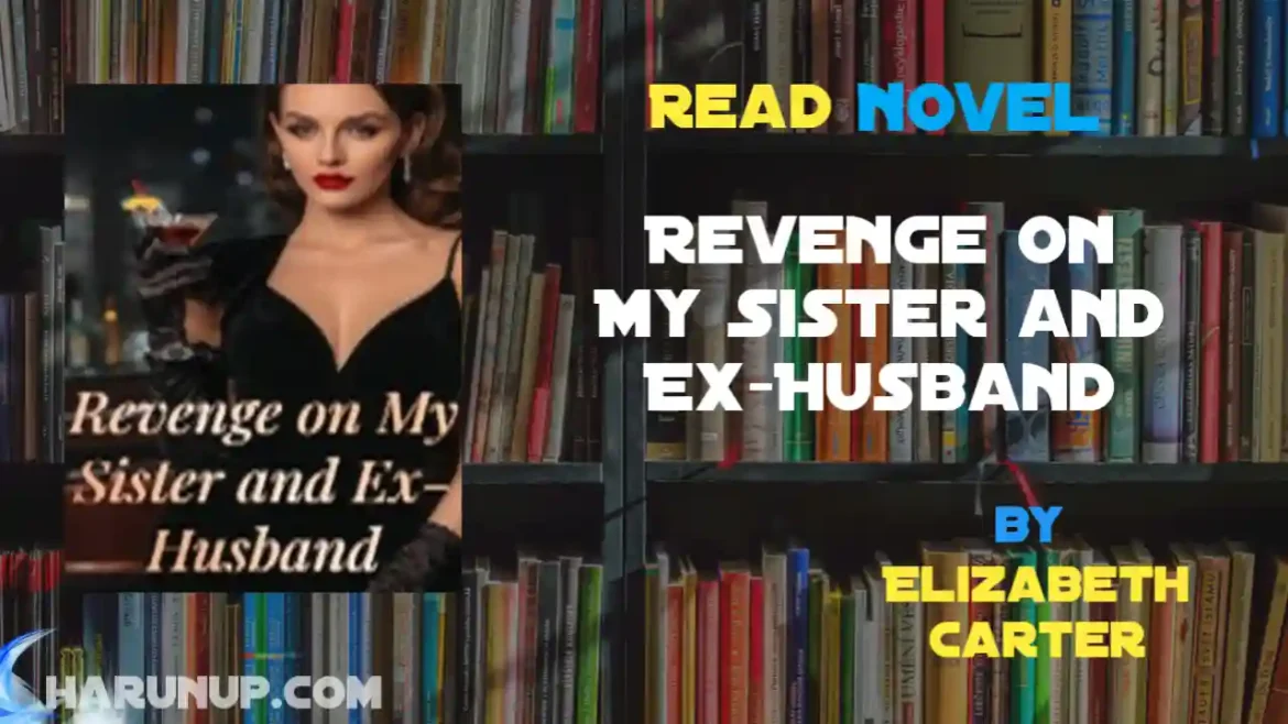 Revenge on My Sister and Ex-Husband Novel