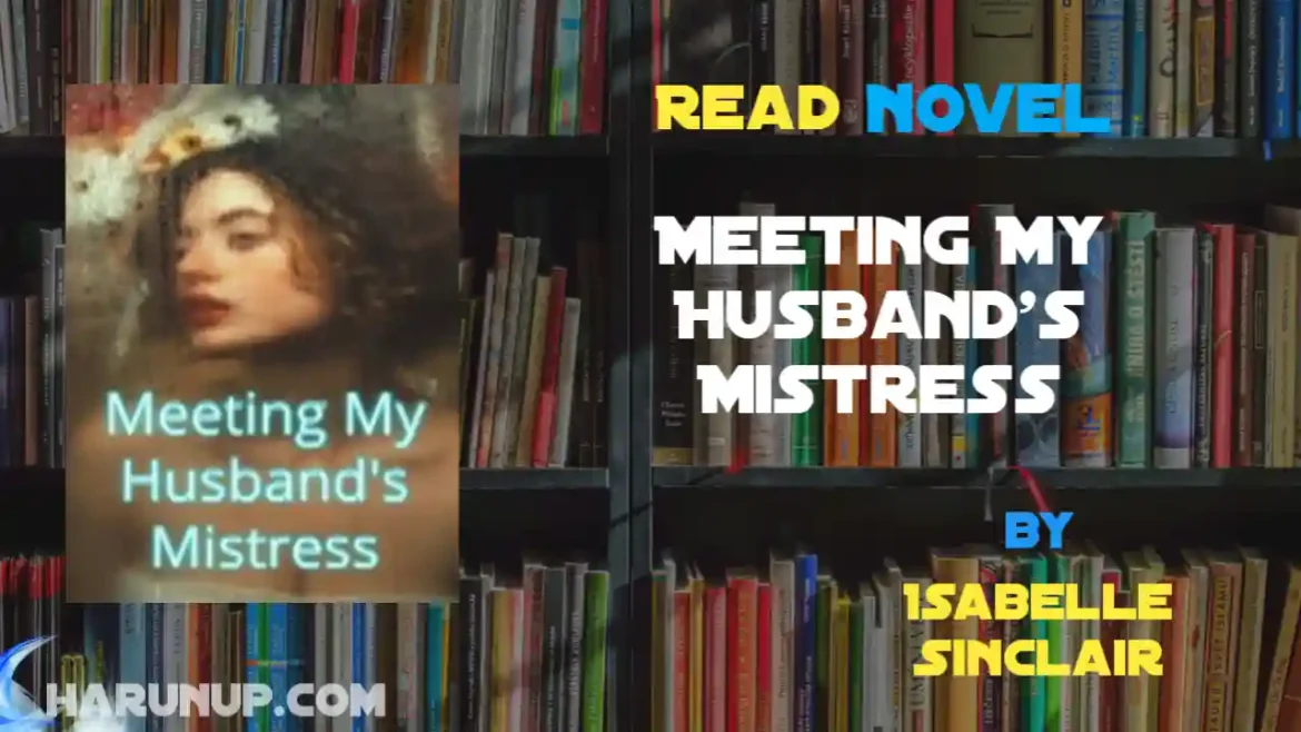 Meeting My Husband's Mistress Novel